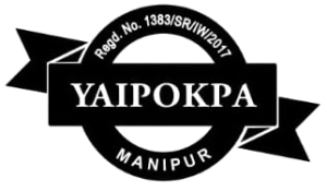 cropped fcab3735 ed90 4f22 b13f 432c64ceda6d.jpg removebg preview.png